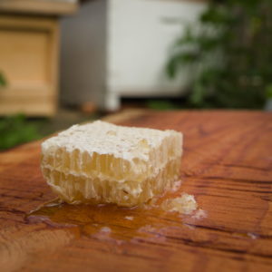 Natural cut comb section from Leicestershire on a wooden board with honey coming out from bottom