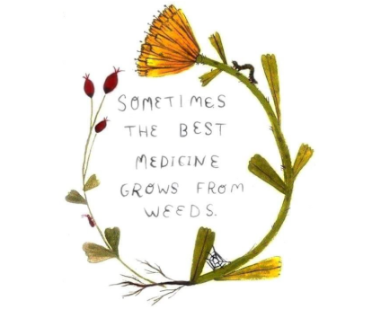 sometimes the best medicine grows from weeds